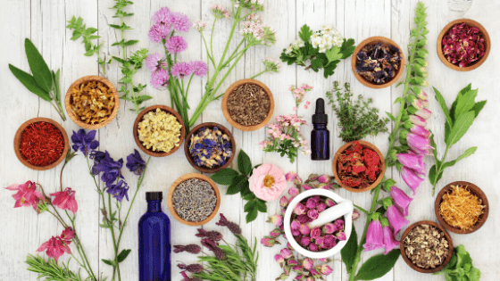 Why are People Switching to Herbal Medicine? - Nickel City Innovations, Inc.